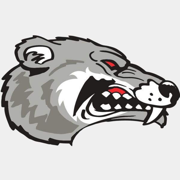 AR WOLVERINE 13 RC Thumbnail