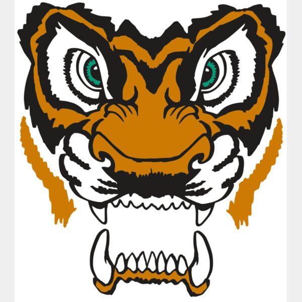 AR TIGER 11 RC Thumbnail