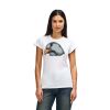 Womens Softstyle Cotton Tee Thumbnail